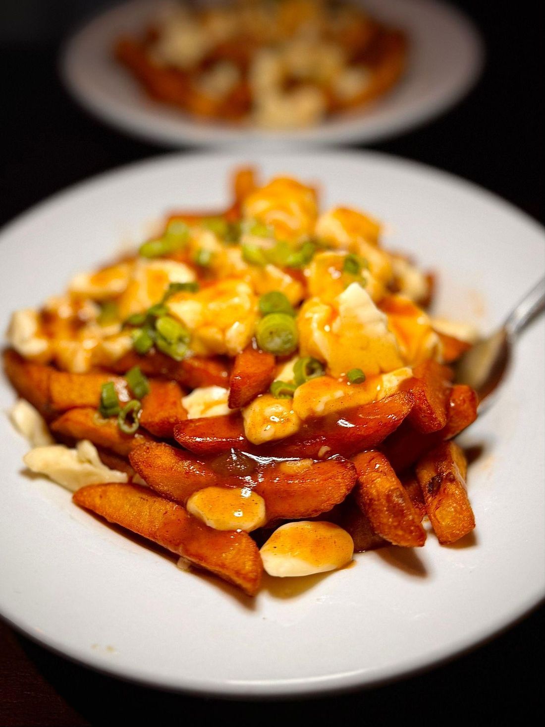 Poutine du Moose Bawr